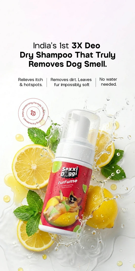 Furfume - Mojito