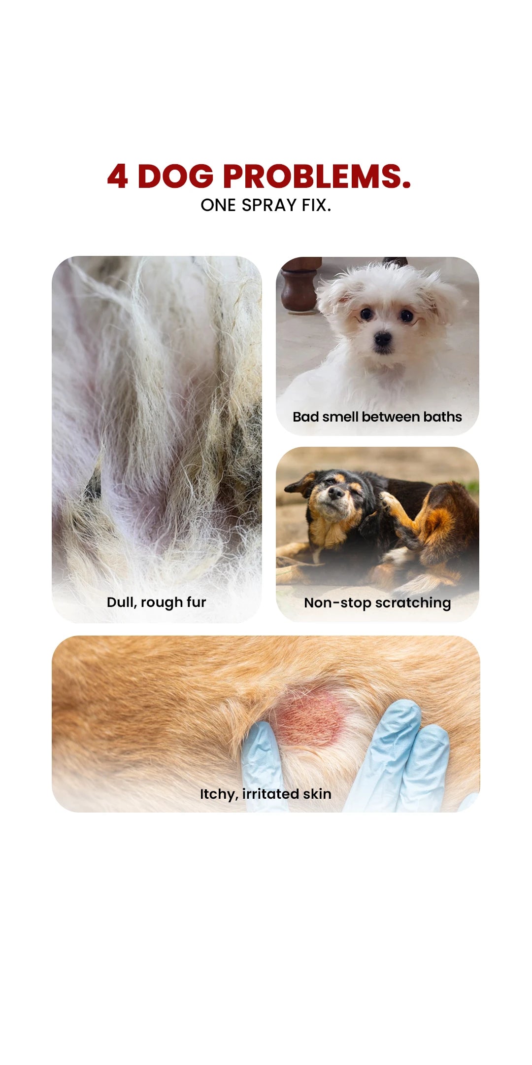 Furfume - Marshmallow