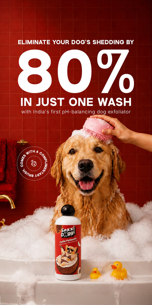Shampoo - Coconut