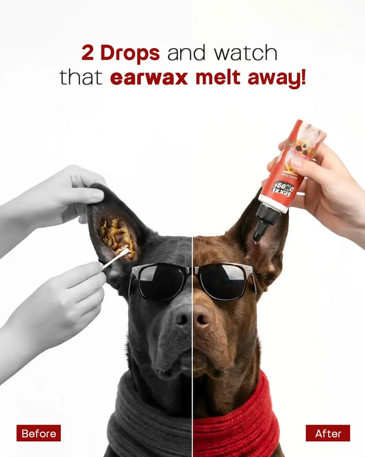 India's Quickest Dog Ear Cleaning Solution - EarClear (100 ml)