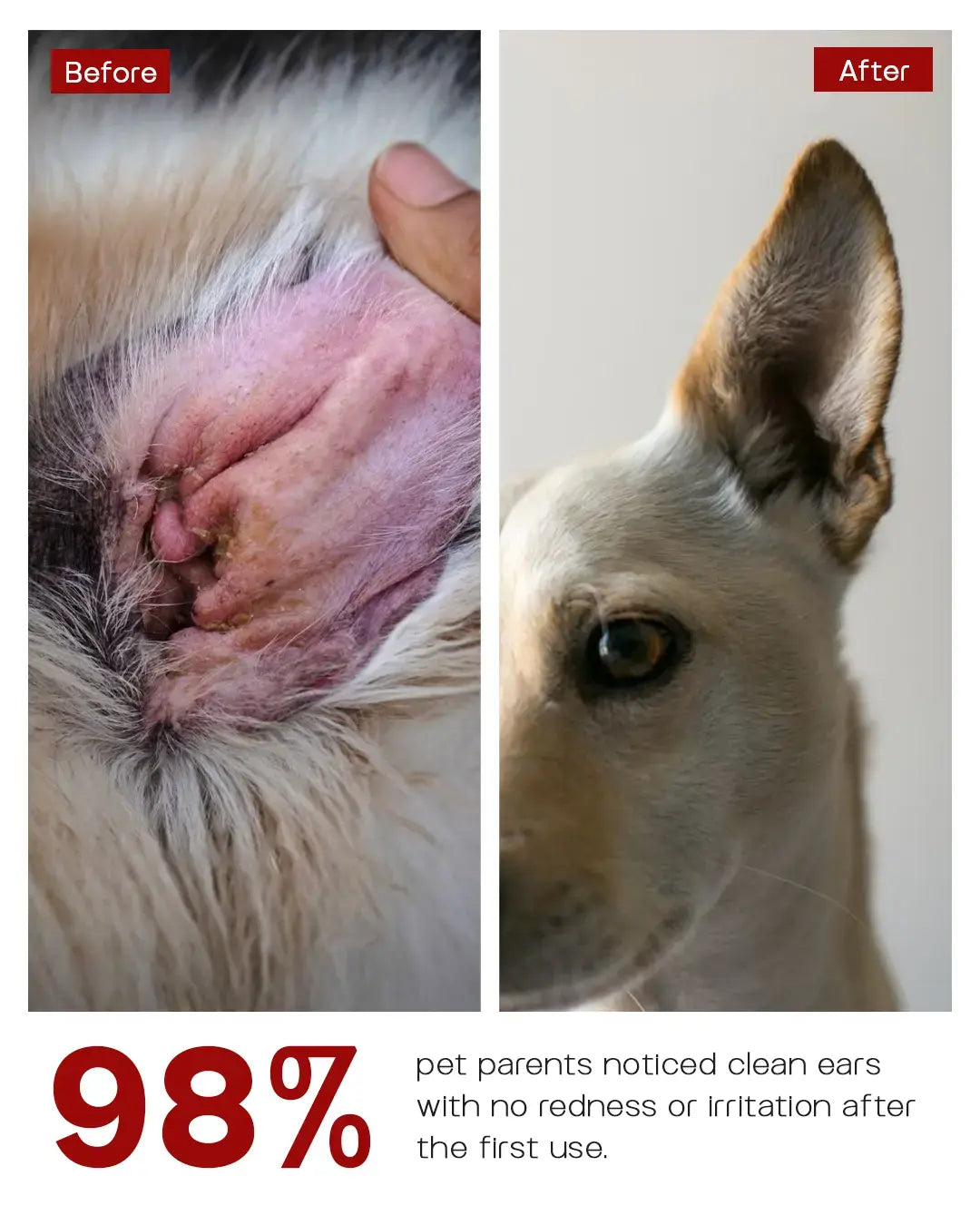 India's Quickest Dog Ear Cleaning Solution - EarClear (100 ml)