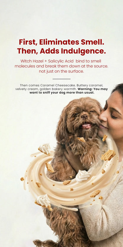 Furfume - Cheesecake