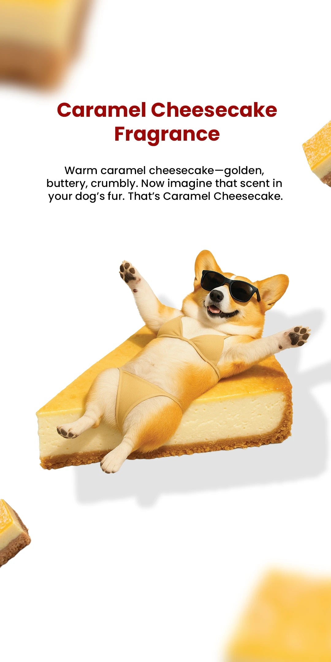 Furfume - Cheesecake