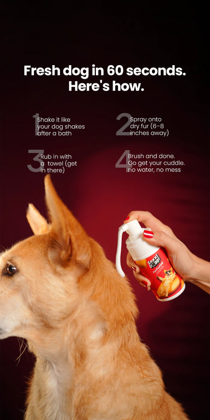 Furfume - Cheesecake