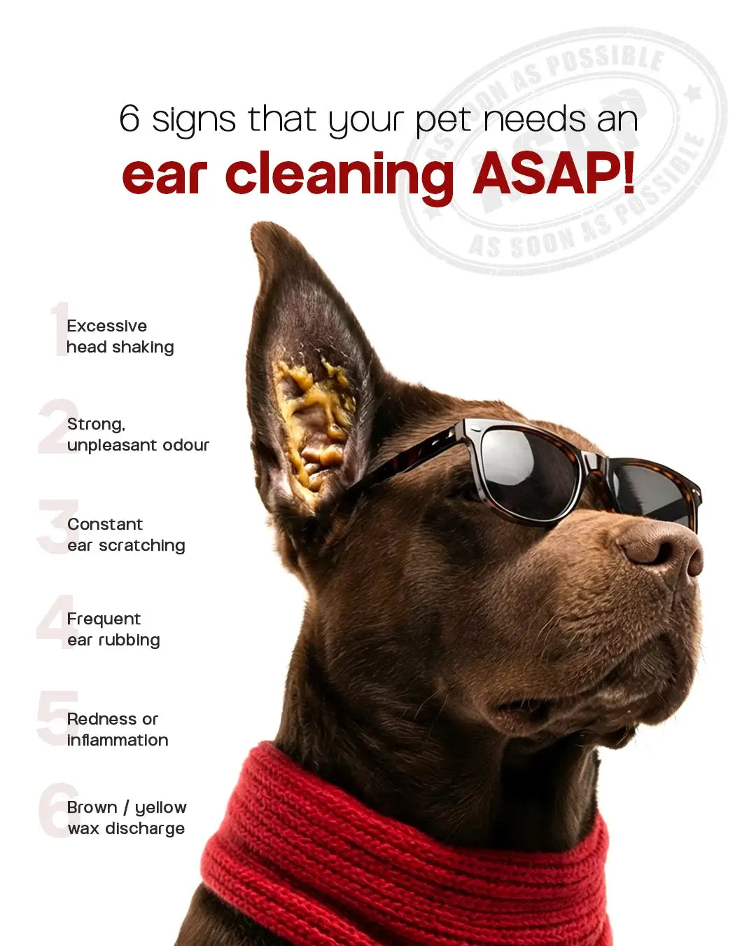 India's Quickest Dog Ear Cleaning Solution - EarClear (100 ml)