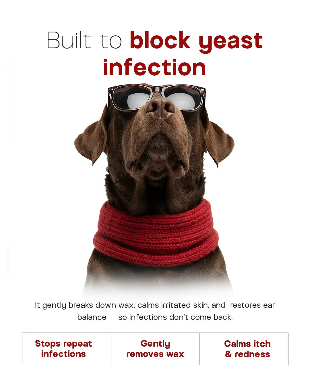 India's Quickest Dog Ear Cleaning Solution - EarClear (100 ml)