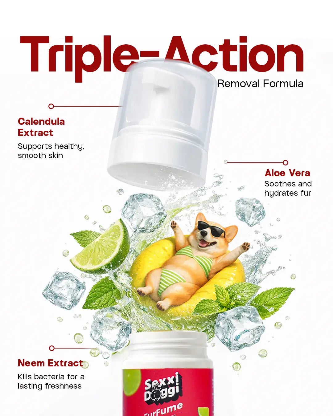 Dry Foaming Shampoo and Furfume - Mojito (100 ml)