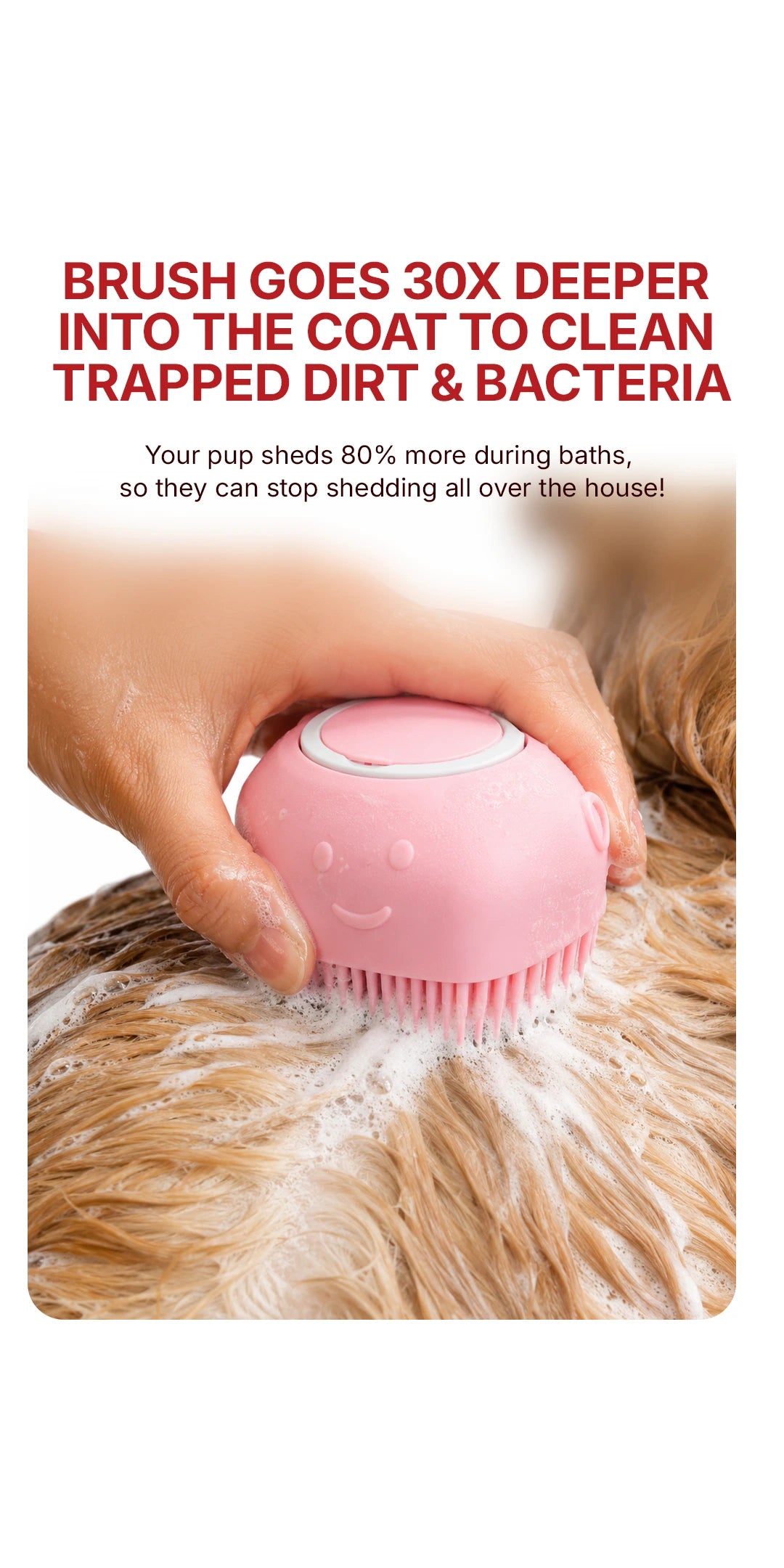 Shampoo - Coconut