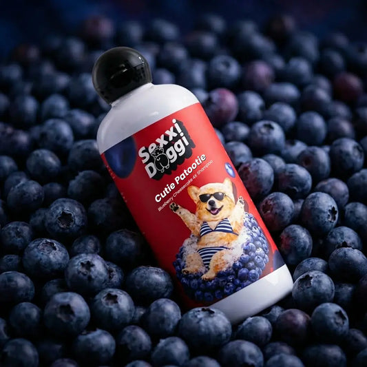 Shampoo - BlueBerry