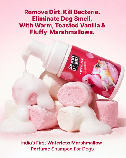 Dry Foaming Shampoo and Furfume - Marshmallow (100 ml)