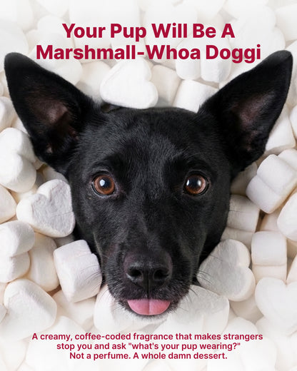 Dry Foaming Shampoo and Furfume - Marshmallow (100 ml)