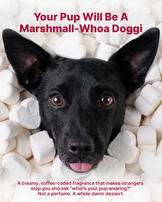 Dry Foaming Shampoo and Furfume - Marshmallow (100 ml)