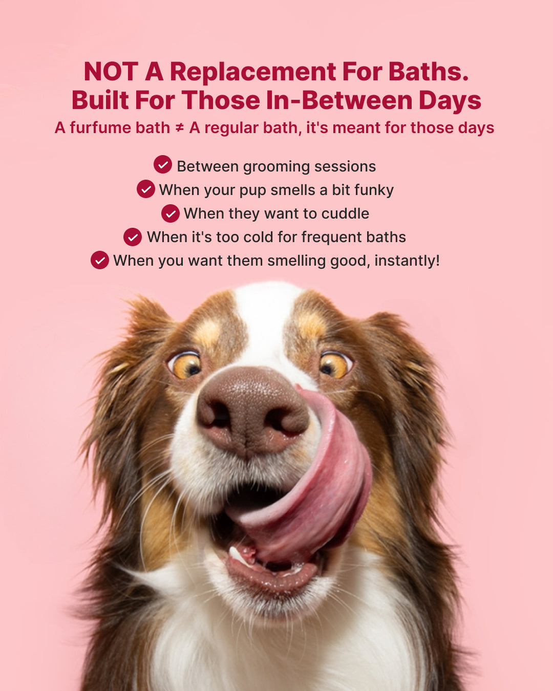 Dry Foaming Shampoo and Furfume - Mojito (100 ml)