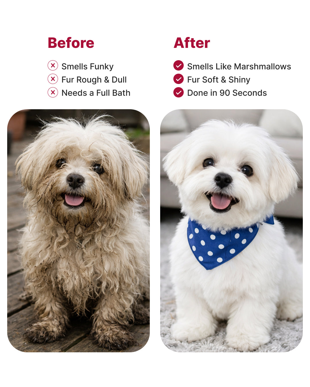 Dry Foaming Shampoo and Furfume - Mojito (100 ml)