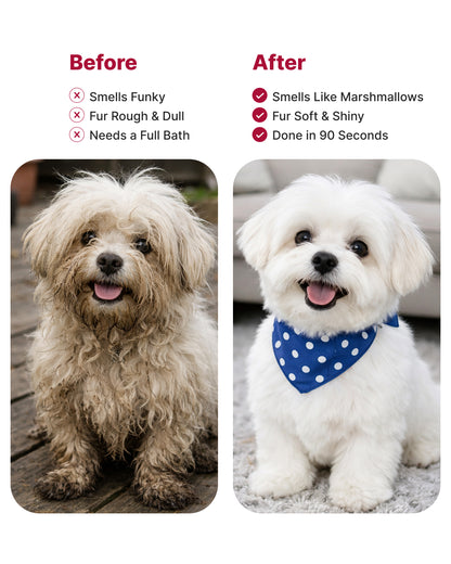 Dry Foaming Shampoo and Furfume - Mojito (100 ml)