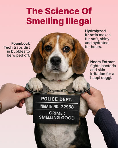 Dry Foaming Shampoo and Furfume - Mojito (100 ml)