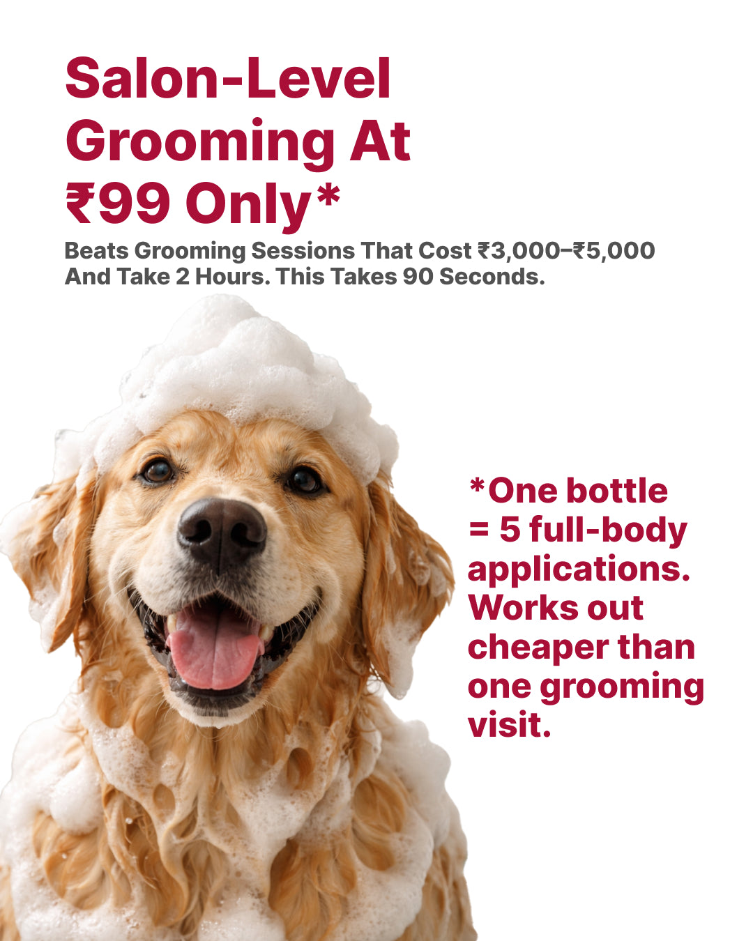 Dry Foaming Shampoo and Furfume - Mojito (100 ml)