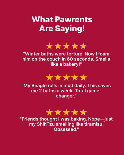 Dry Foaming Shampoo and Furfume - Mojito (100 ml)