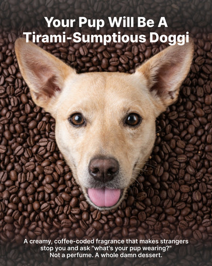 Dry Foaming Shampoo and Furfume - Americano (100 ml)