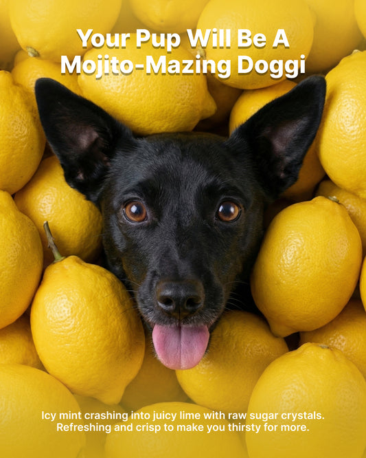 Dry Foaming Shampoo and Furfume - Mojito (100 ml)