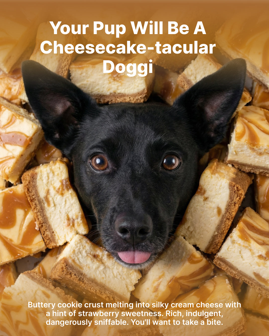 Dry Foaming Shampoo and Furfume - Cheesecake (100 ml)