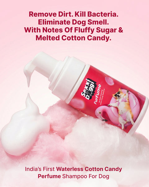 Dry Foaming Shampoo and Furfume - Cotton Candy (100 ml)