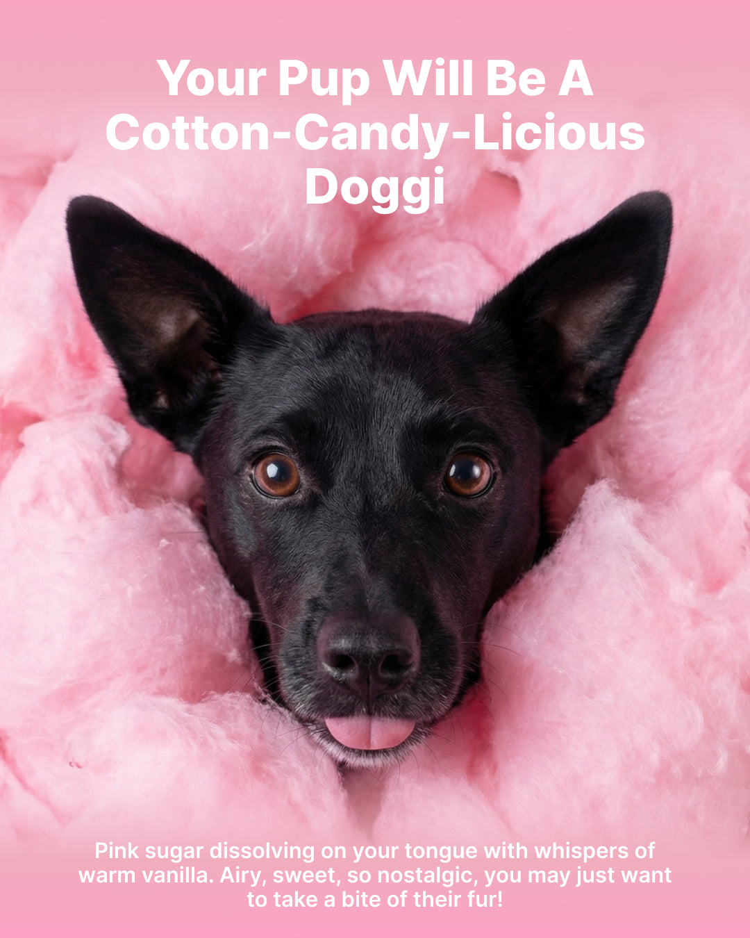 Dry Foaming Shampoo and Furfume - Cotton Candy (100 ml)