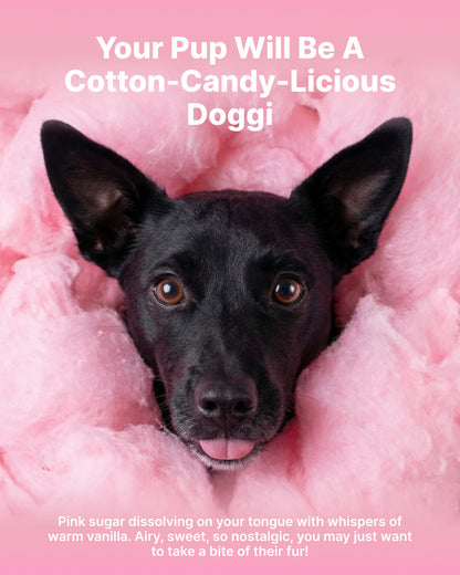 Dry Foaming Shampoo and Furfume - Cotton Candy (100 ml)