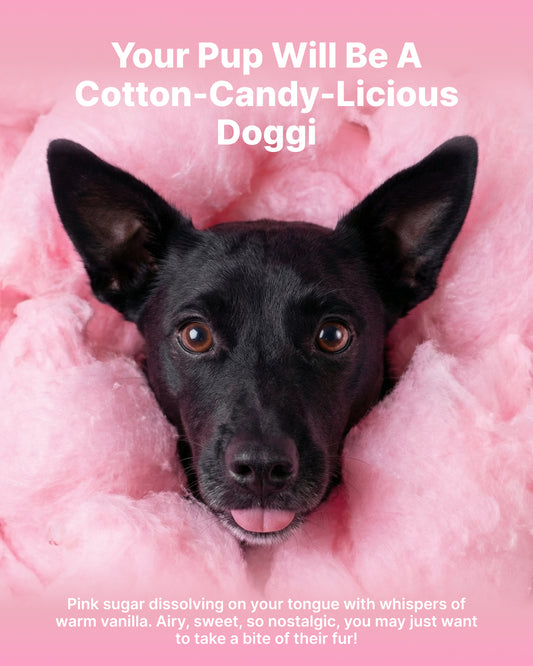 Dry Foaming Shampoo and Furfume - Cotton Candy (100 ml)