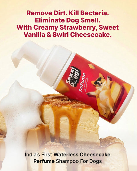 Dry Foaming Shampoo and Furfume - Cheesecake (100 ml)