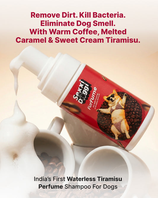 Dry Foaming Shampoo and Furfume - Americano (100 ml)