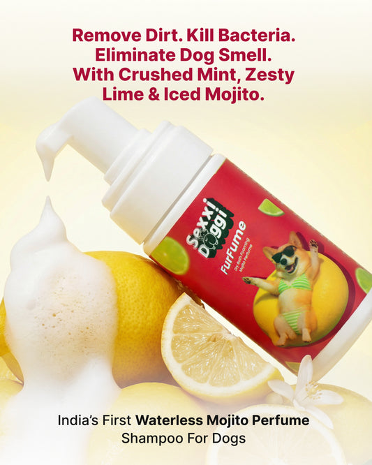 Dry Foaming Shampoo and Furfume - Mojito (100 ml)