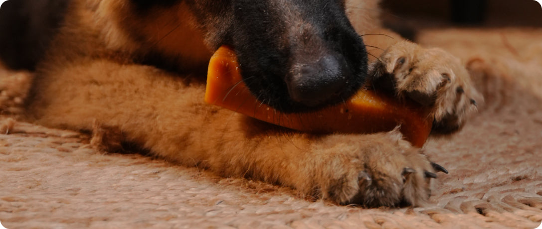 SKIN ALLERGIES, ITCHING, OR DANDRUFF