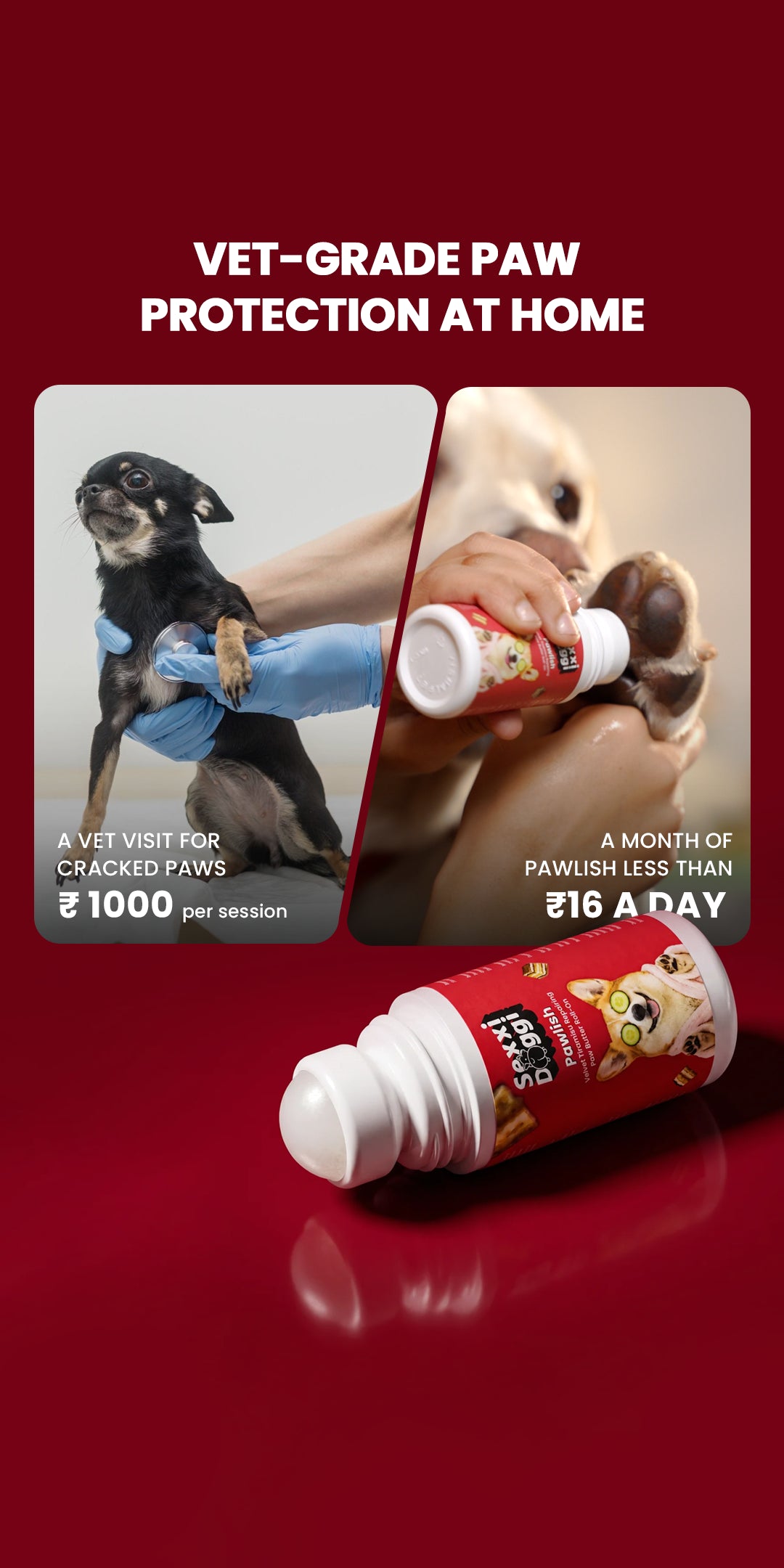 Pawlish Roll-On (100ml)