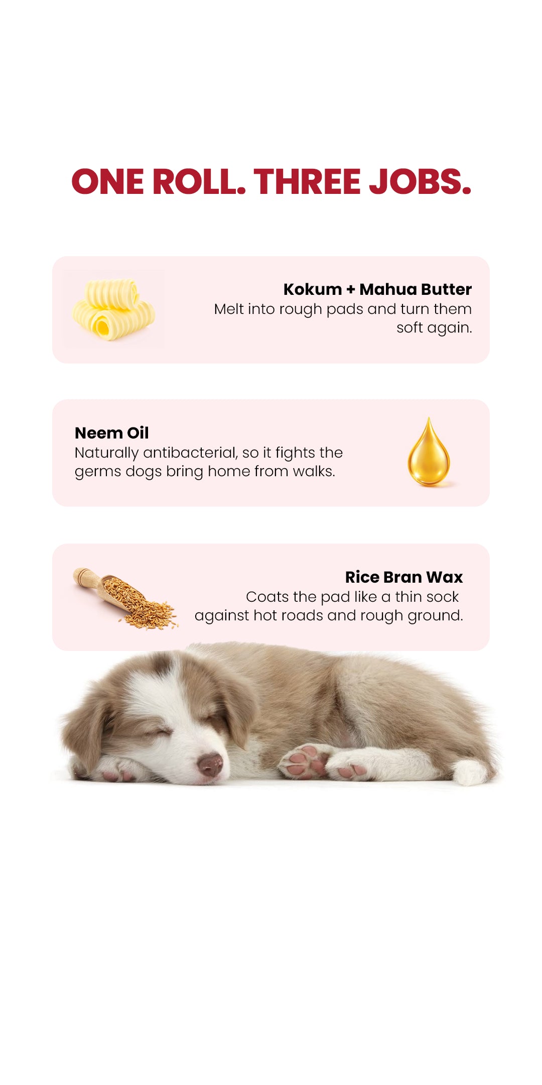 Pawlish Roll-On (100ml)