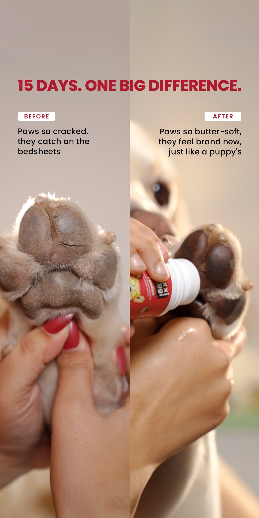Pawlish Roll-On (100ml)