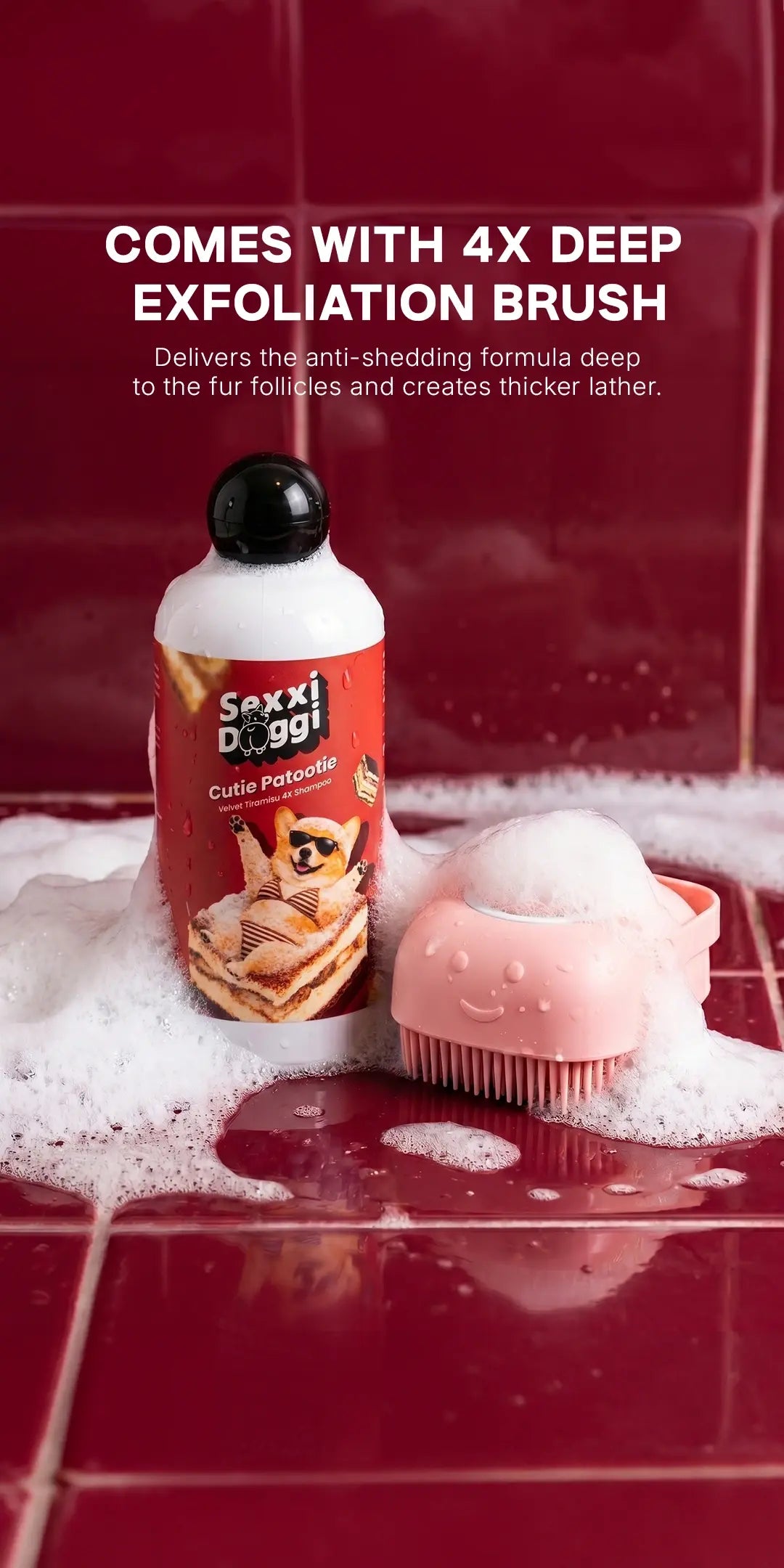 Shampoo - Tiramisu