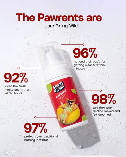 Dry Foaming Shampoo and Furfume - Mojito (100 ml)