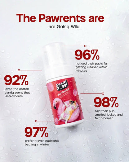 Dry Foaming Shampoo and Furfume - Cotton Candy (100 ml)