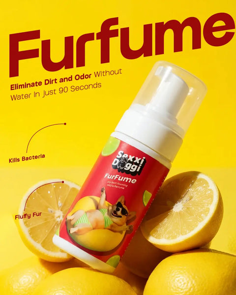 Dry Foaming Shampoo and Furfume - Mojito (100 ml)